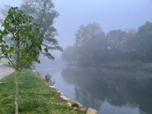 IMG-20240404-WA0003