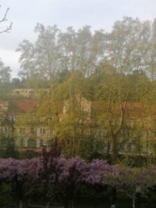 IMG-20240405-WA0012